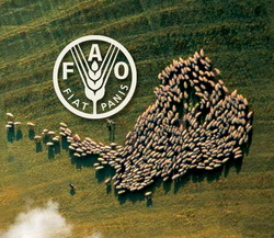 Reducerea emisiilor de gaze cu efect de sera in zootehnie este la indemana tuturor