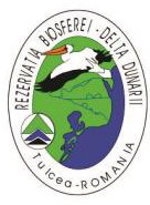 Logo RBDD