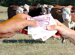 Avans pentru platile directe PAC