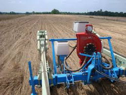 SEMANAT-BUMBAC resize