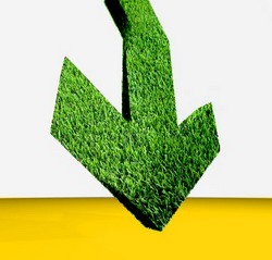 Preturile globale la alimente continua sa scada