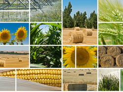 Agricultura, la startul marelui boom?