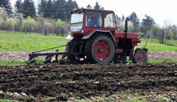 arat 80945500 resize