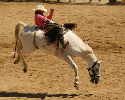 Primul Rodeo din lume