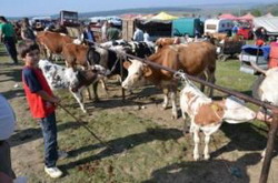 imagine-articol 30681 resize