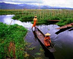 Gradinile plutitoare din Myanmar