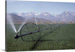 irrigating-alfalfa-fields-owens-valley-sierra-nevada-california1090512 resize