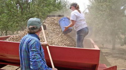 joe-connell-and-rebecca-wheelerjpg-12 resize