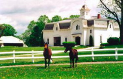 mainbarn 1 -318x206 resize