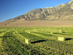 projectMontgomeryCreekLg resize