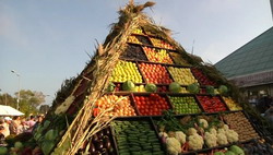 Sarbatoarea Recoltei si a Vinului Dobrogean