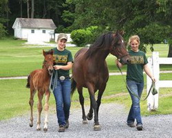 stacks image 536 1 resize