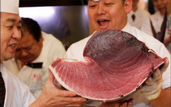 Un peste s-a vandut cu 1,76 milioane de dolari