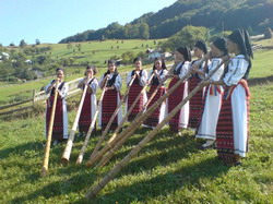 tulnicarese gaina resize