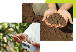 Planul de fertilizare pentru siguranta unei agriculturi durabile