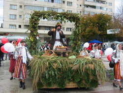 1bachus-1.jpgIRENA resize