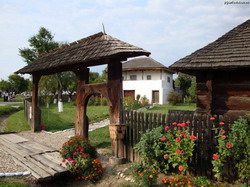 Sfaturi pentru taranul gospodar in luna noemvrie