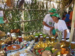 Veniturile fermierilor cresc cu 40% prin policultura