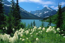 Parcul National Glaciar