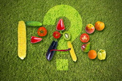 Explicarea elementelor principale din Reforma PAC