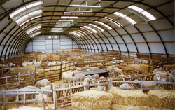 HALA-METALICA---FERMA-OVINE-info121-info980 resize