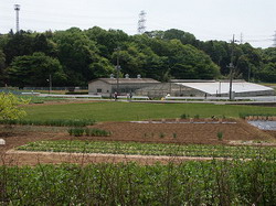 Kurokawa 06b6020s resize