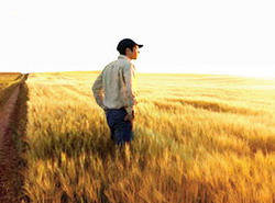 29 de propuneri pentru o agricultura romaneasca performanta