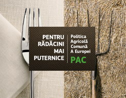 PAC Radacini mai puternice