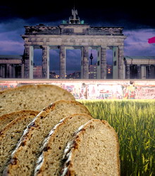 Romania adera la proiectul „Peace and Agriculture”