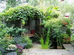 backyard-garden-walk resize