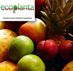 Proiectul ecoplanta