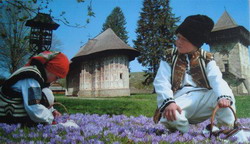 Clasamentul celor mai puternice judete agricole din zona Moldovei