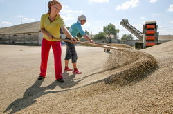 Cooperativele ucraine acceseaza fonduri pentru utilaje agricole