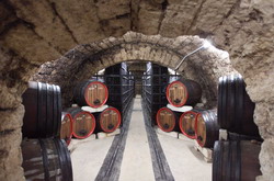 8k8c4981-44c2 resize