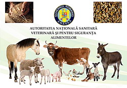 Furaje sanatoase pentru animale