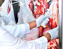 Controale in domeniul alimentar – Sibiu, luna octombrie