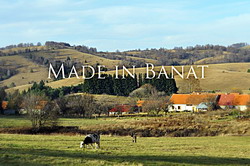 Lansarea proiectului ‘Made in Banat’