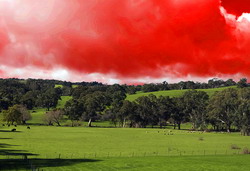 640.000 lei obtinuti ilegal din fonduri europene destinate pasunilor