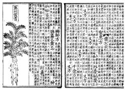 Pen tsao woodblock book 1249-ce resize