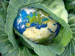 Fonduri pentru promovarea produselor de calitate