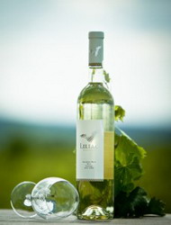 Sauvignon Blanc Liliac “Marea medalie de Aur”