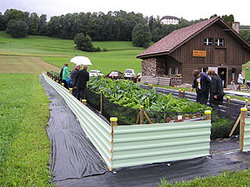 Crema de melci pentru o piele frumoasa si sanatoasa