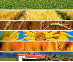 APIA: Politica Agricola Comuna – Provocari si perspective pentru viitor