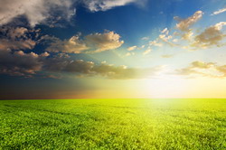 Cetatenii straini pot cumpara teren agricol fara restrictii