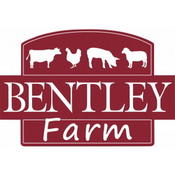 Bentley Romania iti face munca mai usoara