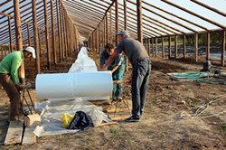 ANDOSER oferea consultanta agricola in producere de legume in sere si solarii