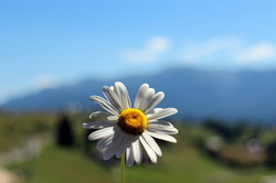 Targului de Turism al Romaniei