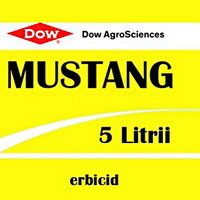 mustang 5litriijpg b2