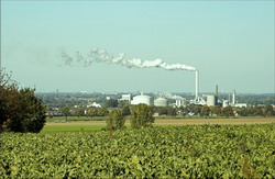 Producatorii europeni de zahar vor recupera 330 milioane de euro