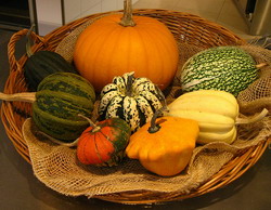 Tartacutele din gradina noastra